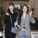 수진스포츠 이미지