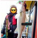 짱구피싱 | 영흥도 겨울외수질 농어, 우럭 선상낚시 미끼 짱구피싱 후기