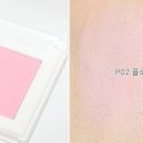 핑키플로리아 이미지