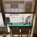 양말코히 이미지