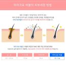 그루밍부스 이미지