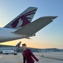 마가메디컬 이미지