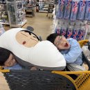 하준이의 주말지낸 이야기 이미지