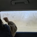 보영농장 이미지