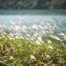 강변산소 이미지