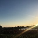 풍림농원 이미지