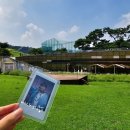 꿈의숲안경 | VANNER(배너)[VGM:Be My Forest] BUSKING in 북서울꿈의숲 창포원 버스킹후기 배너혜성 삐삐일기