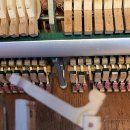 김해신안초등학교 이미지