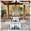 산책길-1 | 구미 금오산 산책길 법성사에서 부처님오신날 연등 신청으로 마음까지 힐링하세요