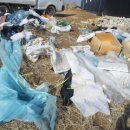 아라환경 이미지