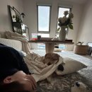 해피카센타 이미지