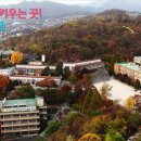 동구여자중학교 이미지