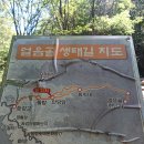 2026년 8월 13일 제 591회 충북 제천 능강계곡 트래킹산행 이미지