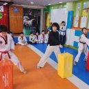 신명태권도장 이미지