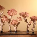 세계조가비박물관 이미지