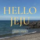 선영목장 이미지