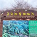 상관편백숲 공영주차장 이미지