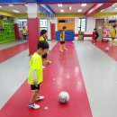 가양금메달태권스쿨 이미지