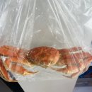 대해수산 | 포항대게 맛집 성후수산 대게 택배주문 후기