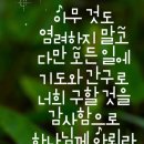 샬롬 - 은평구 | 샬롬