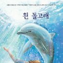 돌고래 이미지