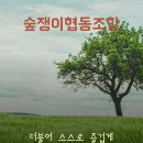 숲쟁이협동조합 이미지