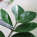 돈나와라뚝딱 이미지