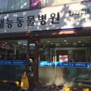 태능동물병원 네이버블로그