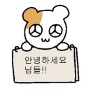 티원(T1)복싱 | 조짐의 연속인 3월