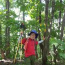 아홉사리로 이미지