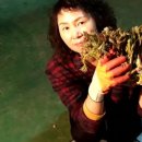 매정농장 이미지