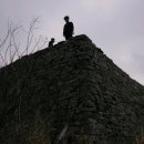 이진수목장 | 금남정맥(봉수대안부~피암목재)산행기06.03.05.