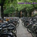 진양세차장 이미지