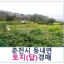 동내면 거두2리 경로당 | 춘천시 토지(답)경매, 동내면 거두리 토지(답) (2023타경2028)