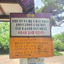 태신농장 | 예산 여행 목장체험 인생사진 찍는 곳 7살 아이 리얼 후기 | 아그로랜드 태신목장