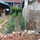 장이용소 이미지