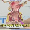 타브로항외과의원 이미지