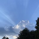 성읍리-18 이미지