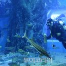다누리센터 아쿠아리움 이미지
