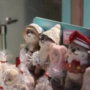 올데이스테이 이미지