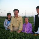 설록차전시관 이미지