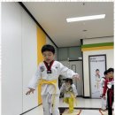 엠티에이태권도 이미지