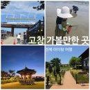 고창 여행 내돈내산 코스 아이랑 가볼 만한 곳 갯벌체험 상하농원
