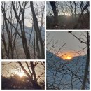 무위자연-태양 이미지