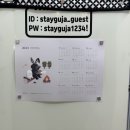 머물구자 이미지