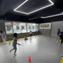 용인대지노태권스쿨