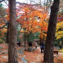 금강공원1 이미지