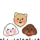 멍스타일 이미지