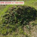 하개명마을회관 네이버블로그