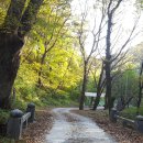 보덕사길 이미지